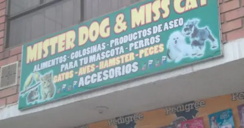 MISTER DOG & MISS CAT MISTER DOG & MISS CAT